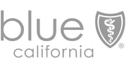 Blue-Shield_Gray.jpg Blue-Shield_Gray.jpg